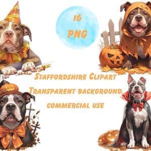 16 Staffordshire Bull Terrier Halloween Costume Clipart, Dog PNG,Dog Halloween Costume, Pumpkin Dog, Staffie Watercolor Clipart