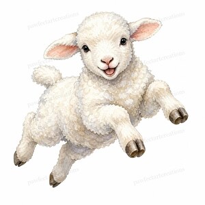Könnte beinhalten: Eine Aquarellillustration eines flauschigen weißen Lamms mit lockiger Wolle, rosa getönten Ohren und dunklen Augen, das in einer fröhlichen Sprungpose mit leicht geöffnetem Maul dargestellt ist. Das Bild enthält den Wasserzeichentext pawfectartcreations.
