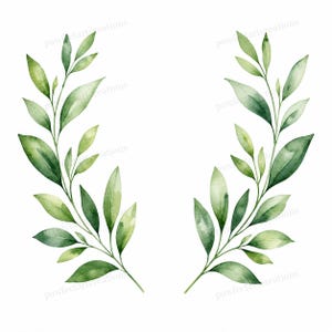20 botaniska grönska grenar Clipart, botaniska grönska grenar akvarell JPG, digital nedladdning, kommersiellt bruk