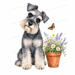Op de afbeelding: Waterverfillustratie van een Schnauzer-hond met een nieuwsgierige uitdrukking, zittend naast een terracotta pot gevuld met kleurrijke bloemen. Een vlinder zweeft in de buurt. De hond heeft grijs en wit haar.