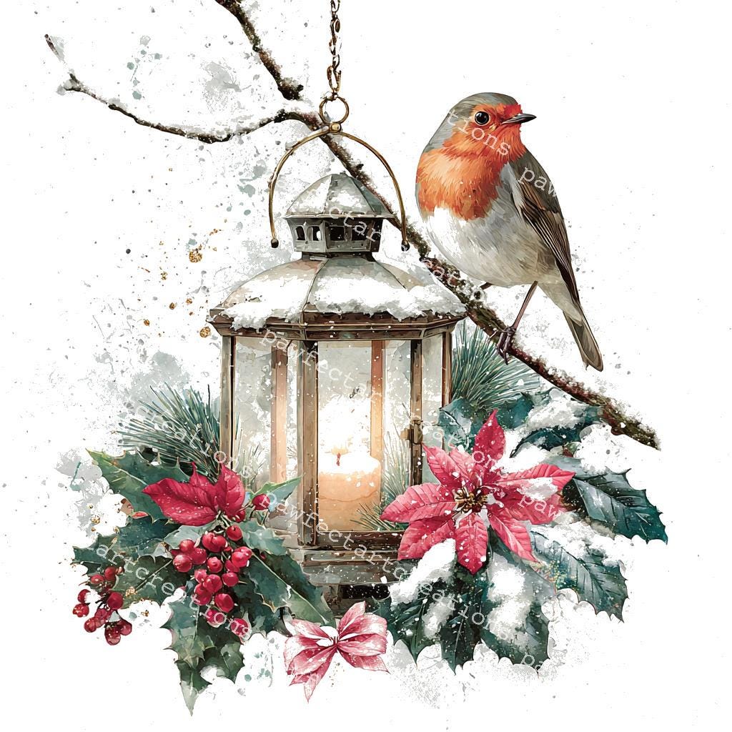 momorin水彩画 鳥とクリスマスオーナメント　値段は※900円です il_fullxfull.7239895587_n1ft.jpg