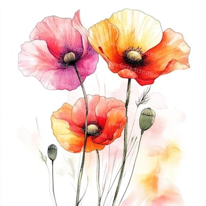 Poppy Clipart Set: Watercolor Flower Art, Junk Journal (Digital Download, 23 JPGs)