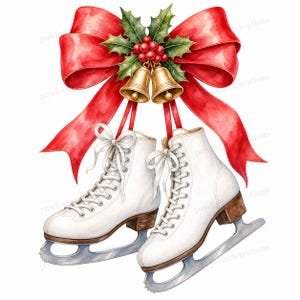 20 paar ijsschaatsen clipart, vintage wintersport kunstschaatsen, printbare aquarel JPG's, digitale download, commercieel gebruik