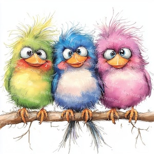 15 cliparts drôles d'oiseaux insolites sur une branche, oiseau aquarelle, aquarelle imprimable, fichiers JPG de haute qualité, créations en papier, journal indésirable, créations numériques