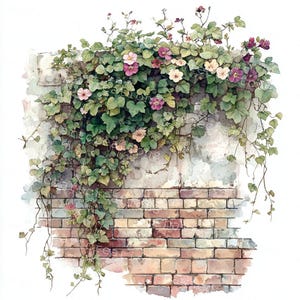 Pode incluir: Uma pintura em aquarela de uma parede de tijolos coberta de videiras verdes com flores rosa e brancas. A parede est&aacute; desgastada e tem um aspecto r&uacute;stico.