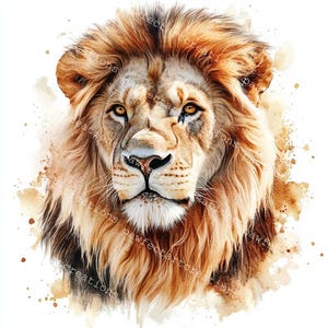 14 Lion Clipart, Leão em aquarela, Sublimação de leão, Aquarela para impressão, JPGs de alta qualidade, Download digital, Papercraft, Junk Journal