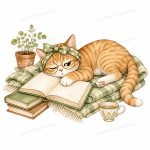 20 Cottagecore Reading Cats Clipart