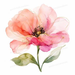 以下が含まれることがあります： 半透明のピンクとピーチ色の花びらを持つ一輪の花の水彩画イラスト。繊細な金の輪郭で縁取られています。中心部には金のハイライトが入った暗い雄しべがあり、茎には金の縁取りが施された2枚の緑の葉が付いています。