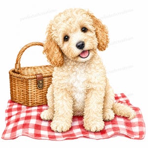 Puede incluir: Una ilustración en acuarela de un cachorro de color crema con pelaje rizado sentado sobre una manta de picnic a cuadros rojos y blancos, junto a una cesta de mimbre tejida con una correa de cuero marrón y un cierre de hebilla metálica.