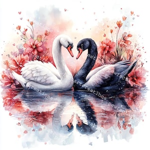 10 clipart de casal de cisnes, cisnes românticos, coração de cisne, aquarela para impressão, JPGs de alta qualidade, diário de papelaria, artesanato digital