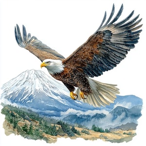15 Clipart di aquile calve, aquila che vola in montagna, uccello acquerello, acquerello stampabile, JPG di alta qualità, carta, diario spazzatura, artigianato digitale
