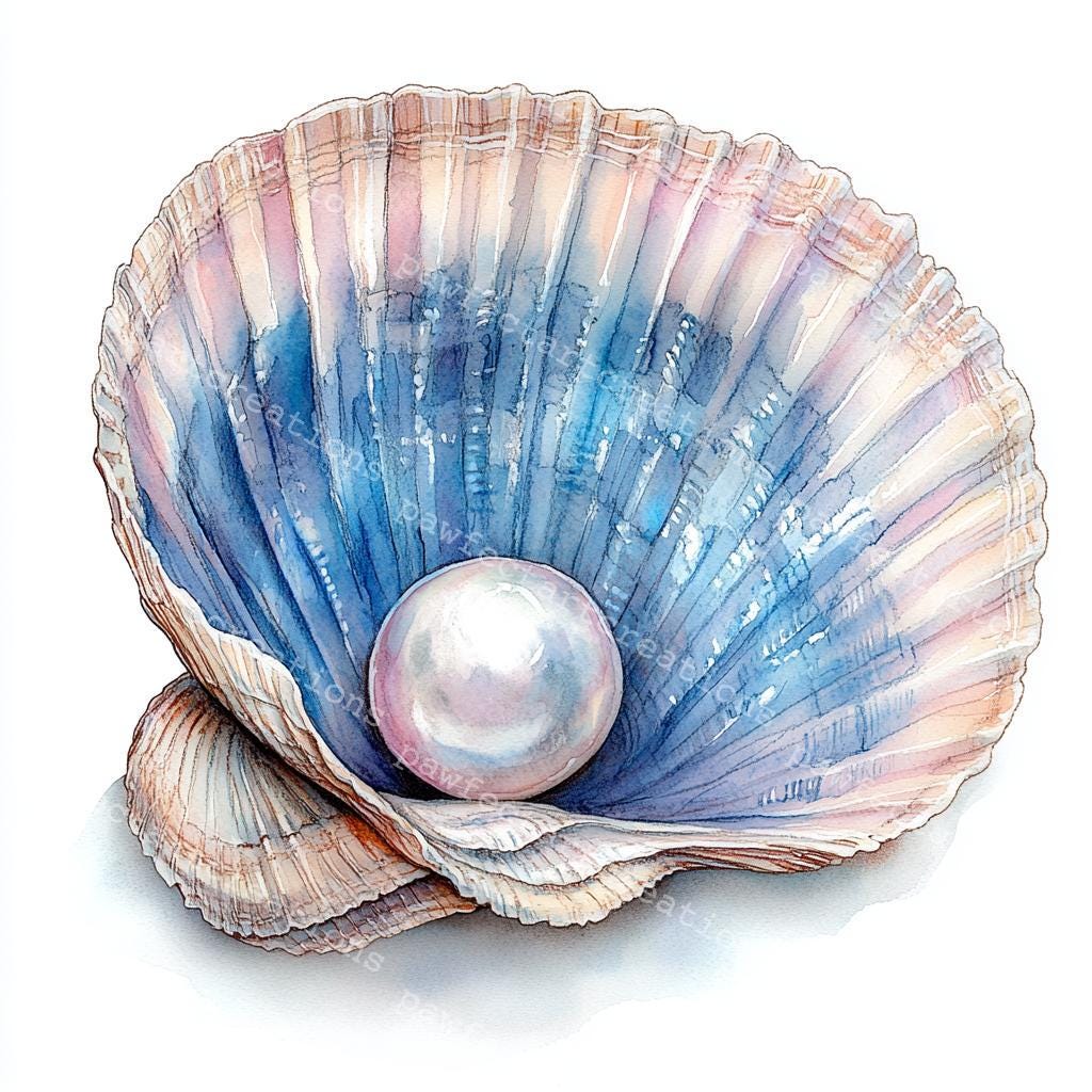 10 Clam Shell With Pearl Clipart, Sea Shell With Pearl Clipart ...