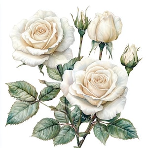 15 White Roses Clipart, Roses bouquet, Flowers Print, Printable Watercolor, High-Quality JPGs, Papercraft, Junk Journal