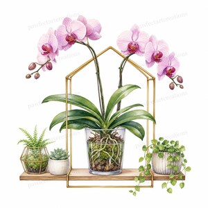 May include: A watercolor illustration of a pink orchid in a clear glass pot, centered on a wooden shelf with a gold geometric frame. To the left are a small fern in a glass terrarium and a succulent in a white pot. A trailing plant sits on the right.