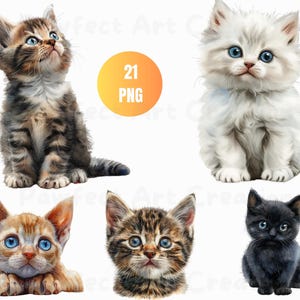 21 Clipart de gato aquarela, clipart de gatinho fofo, vários gatos, papelaria, design de camisa, download de sublimação, fundo transparente, diários de lixo