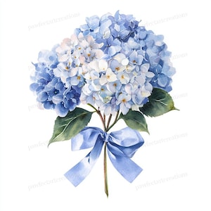 May include: Watercolor illustration of a bouquet of blue and white hydrangeas tied with a light blue ribbon. The flowers have green leaves and are set against a white background. The text "pawfectartcreations" is in the image.
