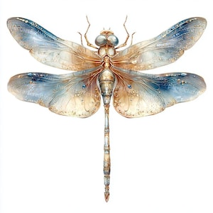 May include: A detailed illustration of a dragonfly with intricate details. The dragonfly features iridescent blue and gold wings, a segmented body, and large compound eyes. The wings have a gradient effect, transitioning from blue to gold. The artwork is set against a white background.
