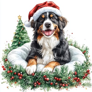14 Weihnachten Berner Sennenhund Clipart, Weihnachtshund, Hundeliebhaber, druckbare Aquarell, hochwertige JPGs, Junk Journal, Digital Craft