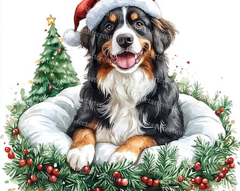 Op de afbeelding: Een Berner Sennenhond met een rode kerstmanmuts, zittend in een wit, pluche bed, omringd door een groene krans met rode bessen. De hond glimlacht en kijkt naar de camera.