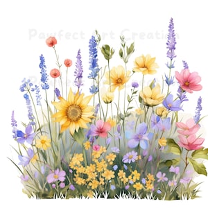 12 PNG Wildblumen Blumenbeet Clipart, Wilde Blumen, druckbare Aquarell Clipart, transparente PNGs, Papiermodell, Blumen Clipart, Junk Journal