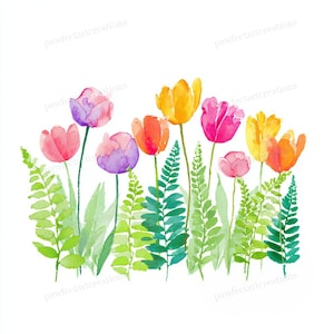May include: Watercolor painting of colorful tulips and green ferns against a white background. The tulips are in shades of pink, purple, orange, and yellow. The ferns are a vibrant green, creating a natural and cheerful scene.