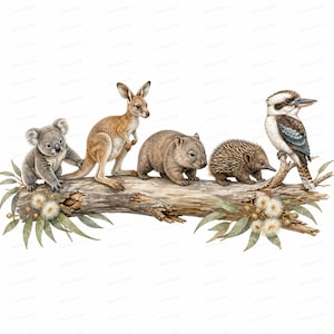 Op de afbeelding: Een aquarelillustratie van Australische wilde dieren op een omgevallen boomstam. De dieren zijn een grijze koala, een bruine kangoeroe, een bruine wombat, een stekelige mierenegel en een kookaburra. De stam is versierd met eucalyptusbladeren en witte bloemen.
