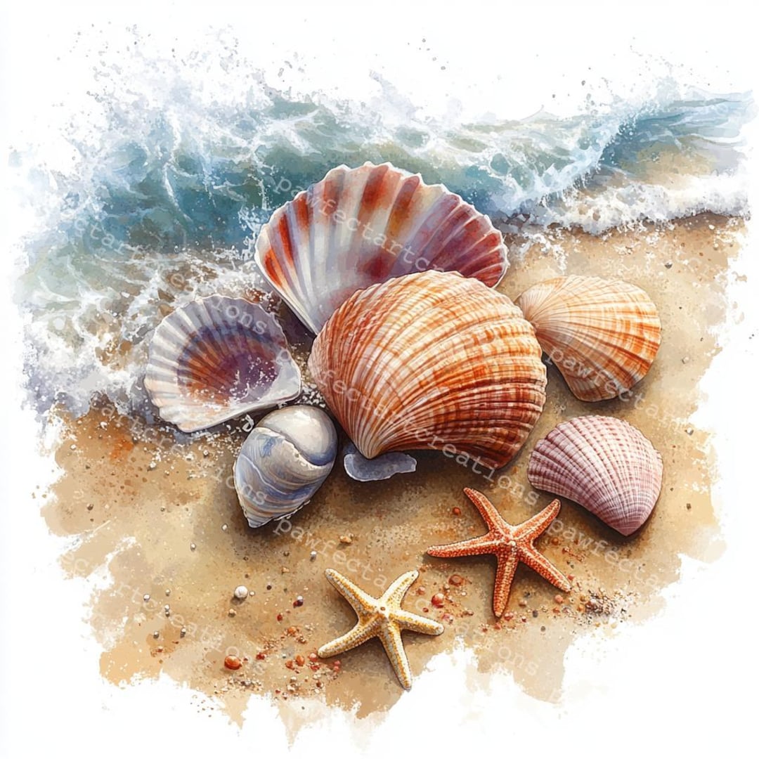 12 Sea Shells Clipart, Seashell Clipart, Coastal Shells, Printable Watercolor, High-quality Jpgs ...