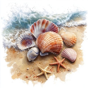 12 Clipart di conchiglie marine, Clipart di conchiglie, Conchiglie costiere, Acquerello stampabile, JPG di alta qualità, Giornale di carta riciclata, Artigianato digitale
