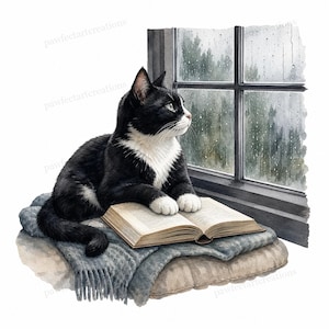 Puede incluir: Un gato tuxedo blanco y negro descansando sobre una manta gris con flecos encima de un cojín, con sus patas delanteras sobre un libro abierto. El gato está junto a una ventana que muestra una escena exterior lluviosa con árboles.
