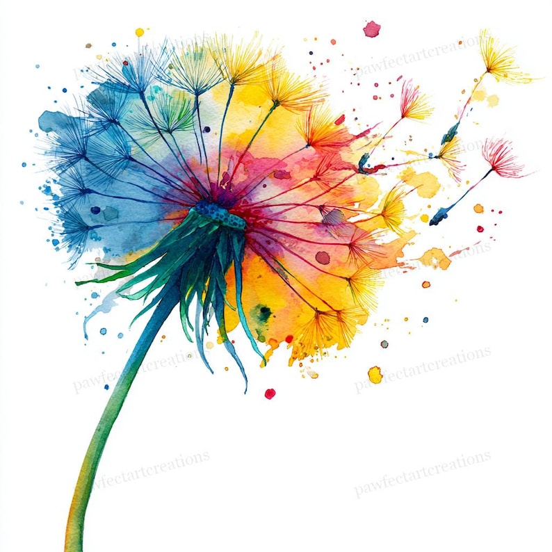 Op de afbeelding: Waterverfschilderij van een paardenbloemzaadhoofd. Het zaadhoofd is verdeeld in blauwe, gele en rode secties. De stengel is groen en geel. De afbeelding heeft een aquareleffect met verfspatten