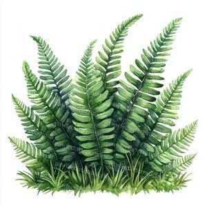 18 cliparts de feuilles de fougère, feuilles de fougère dorées, art du feuillage, aquarelle imprimable, fichiers JPG de haute qualité, papercraft, journal indésirable, créations numériques