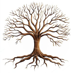 May include: A detailed illustration of a tree with a brown trunk, branches, and roots. The tree's branches extend outward, and a few small leaves are visible. The roots spread out at the base, creating a symmetrical design against a white background.