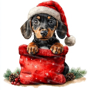13 Weihnachten Dackel Clipart, Weihnachtshund, Hundeliebhaber, druckbare Aquarellzeichnung, hochwertige JPGs, Papierkunst, Junk Journal, Digital Craft
