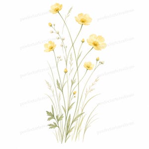 20 Pastel Wildflower Panels Clipart, Wedding Stationery and Journal Borders, Watercolor JPG, Digital Download, Commercial Use