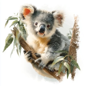 10 Koala on a Branch Clipart, Cute Koala Bear Clipart, Printable Watercolor, High-Quality JPGs, Papercraft, Junk Journal, Digital Craft