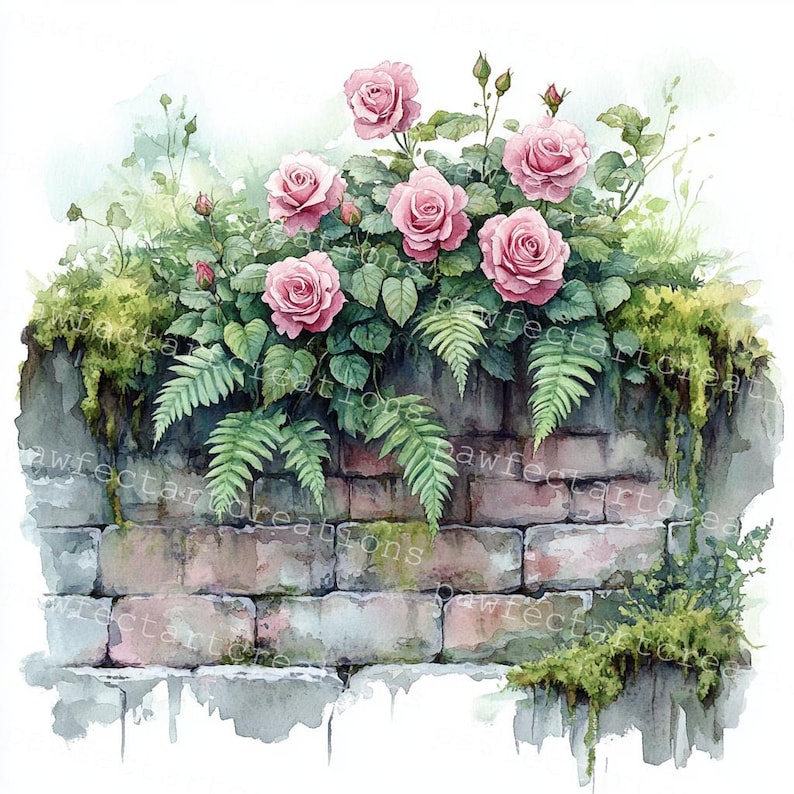 Pode incluir: Uma pintura a aquarela de uma parede de tijolo com rosas cor-de-rosa e samambaias verdes crescendo sobre ela. A parede &eacute; feita de tijolos &aacute;speros e texturizados e tem um crescimento verde musgoso em alguns lugares. As rosas est&atilde;o em plena flora&ccedil;&atilde;o e t&ecirc;m um aspecto delicado e feminino. As samambaias s&atilde;o exuberantes e verdes, adicionando um toque de natureza &agrave; cena.