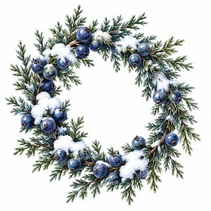Puede incluir: Una corona circular compuesta por ramas de hoja perenne de color verde oscuro y racimos de bayas de enebro redondas de color azul intenso. Parches de nieve blanca están esparcidos por el follaje y las bayas, creando una ilustración botánica invernal.