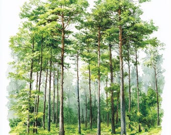 15 Spring Forest Clipart, Spring Woodland, Nature Clipart, Printable Watercolor, High-Quality JPGs, Junk Journal, Digital Craft
