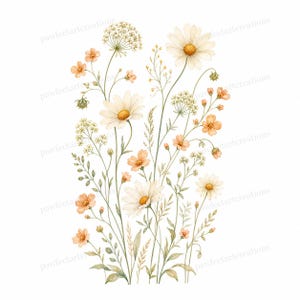 20 Pastel Wildflower Panels Clipart, Wedding Stationery and Journal Borders, Watercolor JPG, Digital Download, Commercial Use