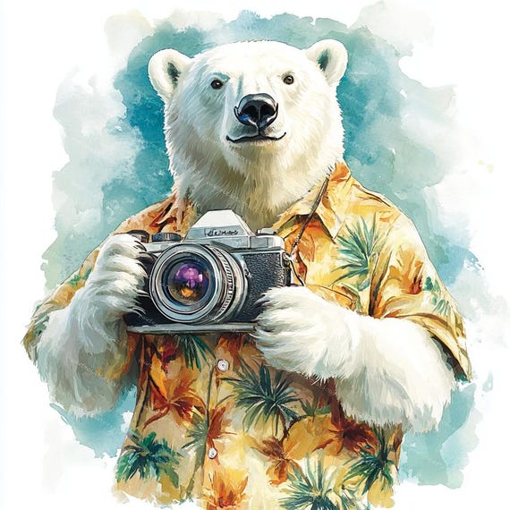 10 シロクマのクリップアート、クールなシロクマ、ヨガ クマ、かわいい