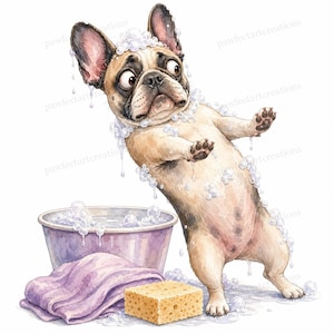 20 Funny Dog Bath Time Clipart, dog grooming bubble bath humor Watercolor JPGs, Digital Download, Commercial Use