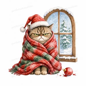 Op de afbeelding: Een bruine cyperse kat met een norse uitdrukking draagt een rode kerstmuts en is gewikkeld in een rood-groene geruite deken met witte sneeuwvlokpatronen. Naast de kat ligt een gebroken rode kerstbal en een houten raam met besneeuwde bomen.