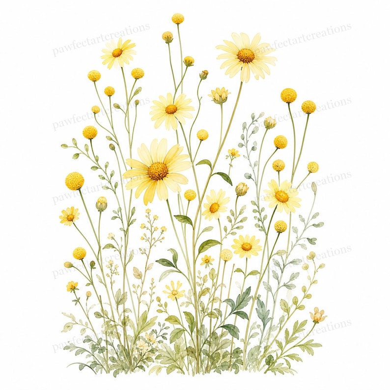 20 Pastel Wildflower Panels Clipart, Wedding Stationery and Journal Borders, Watercolor JPG, Digital Download, Commercial Use