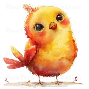 12 pássaros caprichosos clipart, pássaros engraçados, pássaro fofo, clipart aquarela para impressão, PNG de alta qualidade, pássaro colorido, papelaria, diário de lixo