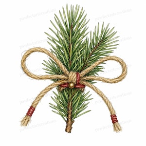 Puede incluir: Una ilustración botánica de una rama de pino con agujas verdes y tallo marrón, atada con un lazo de cuerda de yute color canela. El centro del lazo presenta una pequeña cuenta dorada y detalles de hilo rojo en los extremos.