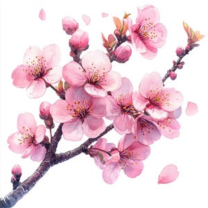 17 Kirschblüten-Zweig Clipart, Blumen-Druck, Sakura-Blüten-Zweig, druckbares Aquarell, hochwertige JPGs, Papierzeug, Junk-Journal