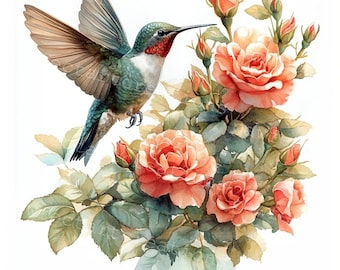 10 Kolibry z różą Clipart, Urocze Kolibry, Wydrukowana Akwarela, Wysokiej Jakości JPG, Dziennik Papierowych Złomów, Cyfrowe Rzemiosło