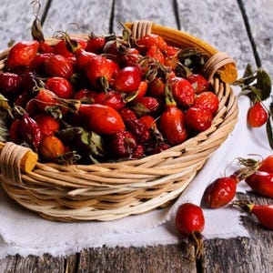 Dried whole rose hips Rose Kanina Organic Eco 500g 1kg