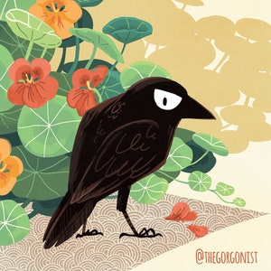 Nasturtium Crow 8x12 mini art poster