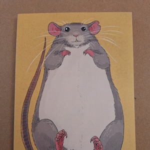 May include: A cartoon illustration of a gray and white rat with pink feet and a long tail. The rat is lying on its back with its paws in the air. The background is a light yellow color.